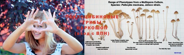 мдма Верхний Тагил