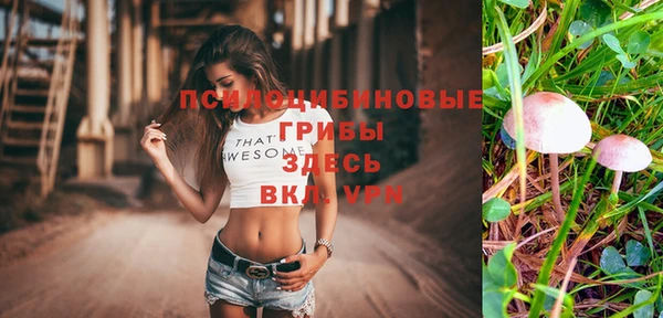 прущая мука Богданович