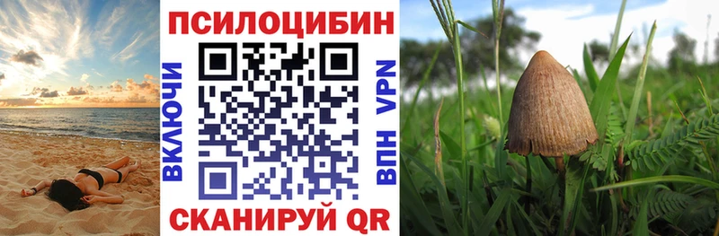 что такое Вятские Поляны площадка как зайти Псилоцибиновые грибы ЛСД