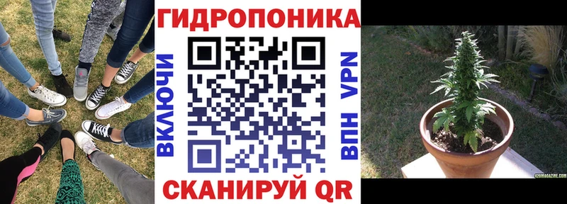 Марихуана Amnesia  Вятские Поляны 